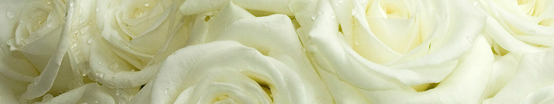 BOOK YOUR WEDDING WIME TODAY !!!